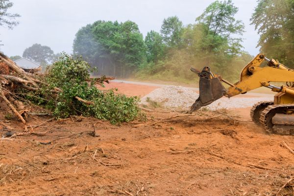 Ground Clearing in Tucson