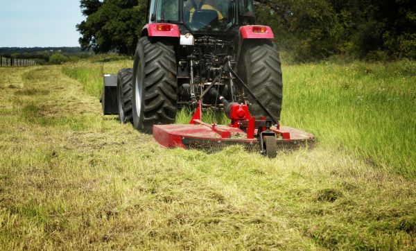 Brush Clearing Service in Tucson