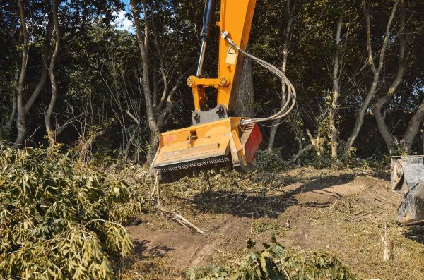 Brush Removal Service in Tucson