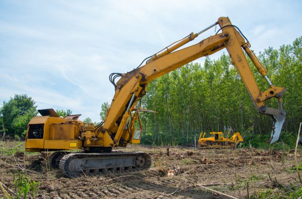 Cost of Farm Clearing in Tucson