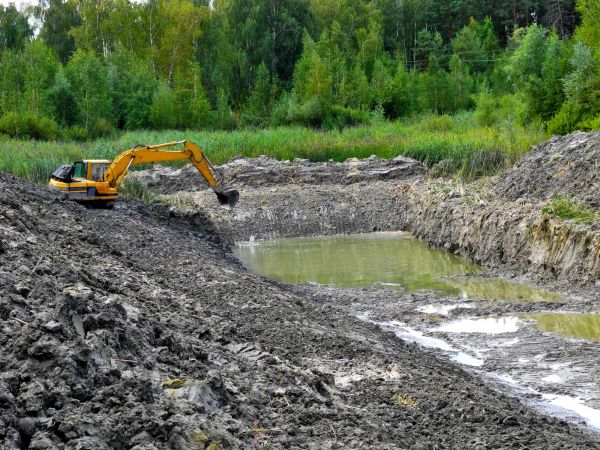 Cost of Lake Lot Clearing in Tucson