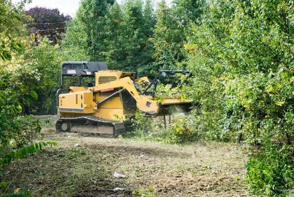 Cost of Pathway Clearing in Tucson