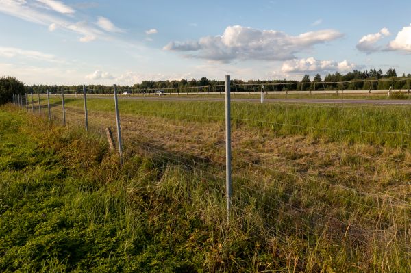 Cost of Property Line Clearing in Tucson
