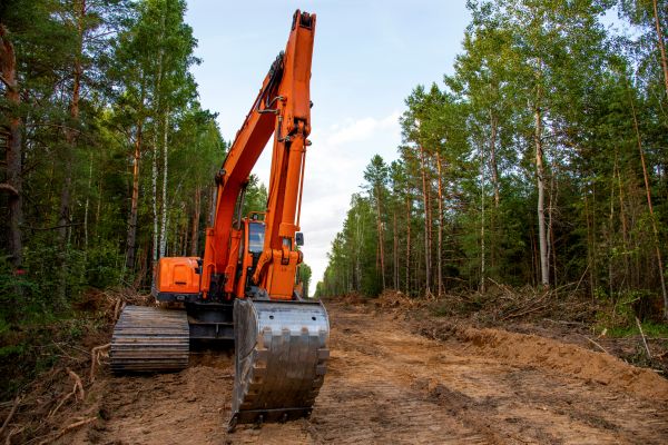 Cost of Backhoe Land Clearing in Tucson