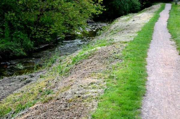 Cost of Trail Cutting in Tucson